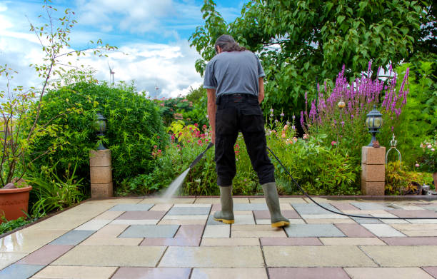 Animal Enclosure Cleaning in Taos, NM